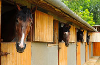free Foals Green stable construction quotes